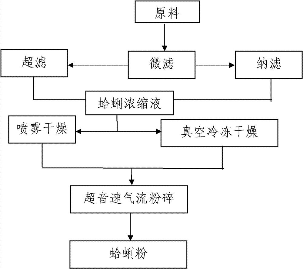 Clam concentrated liquid or clam powder, and production method thereof