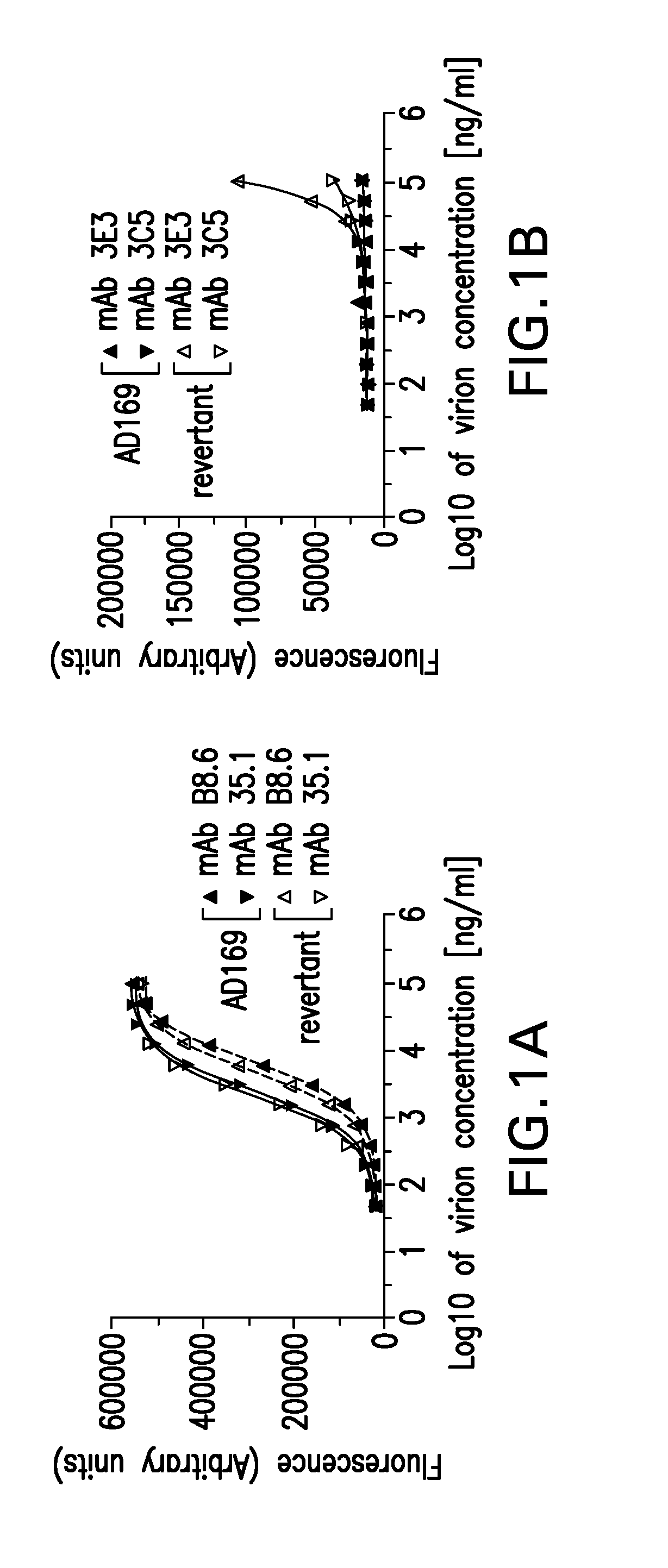 Cmv neutralizing antigen binding proteins