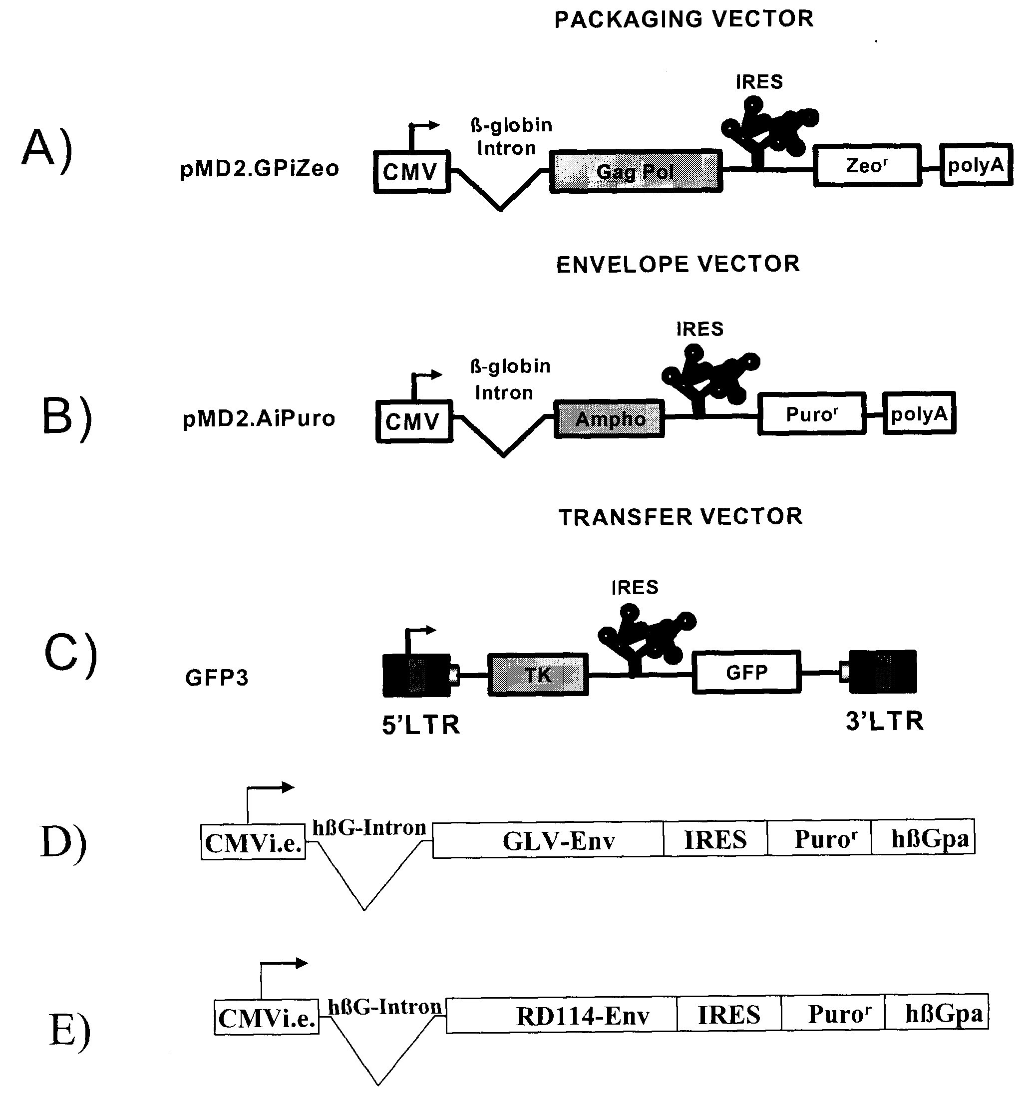 High-titer retroviral packaging cells