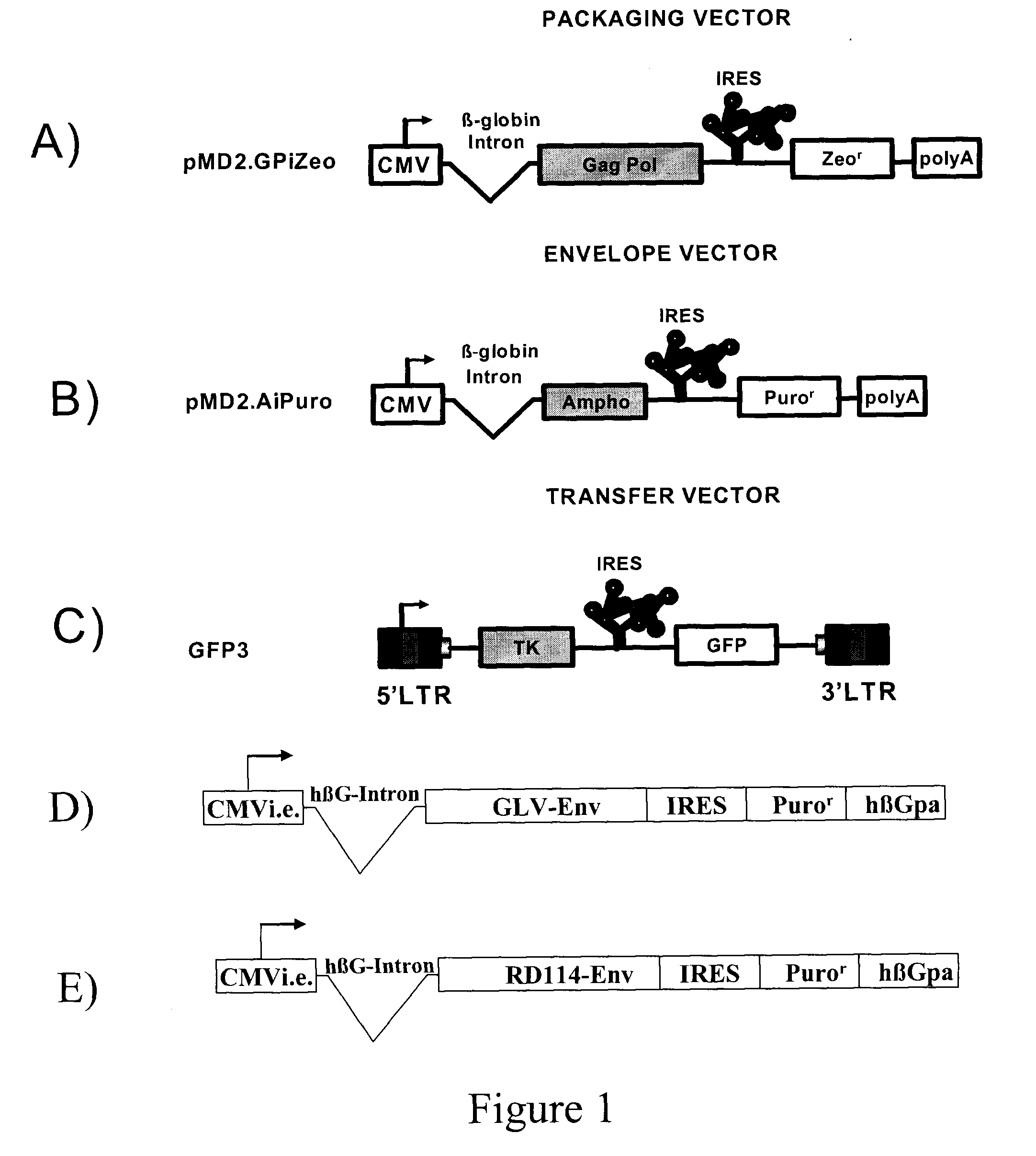 High-titer retroviral packaging cells