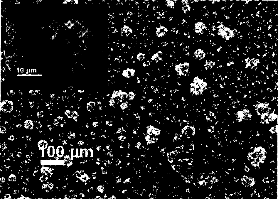 Batch synthesis method of hollow nanometer/micrometer zinc oxide ball