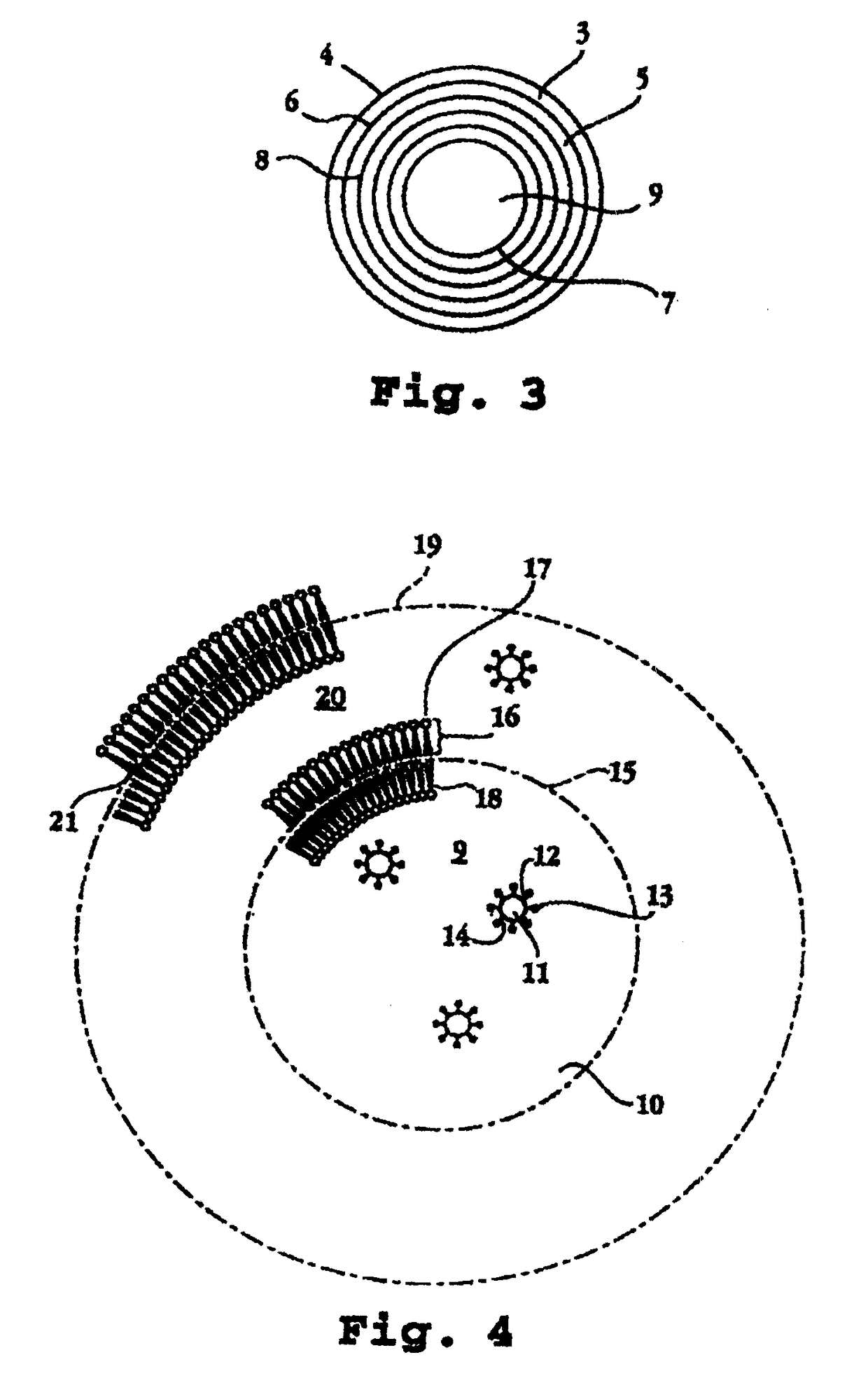 Biphasic lipid-vesicle compositions and methods for treating cervical dysplasia by intravaginal delivery