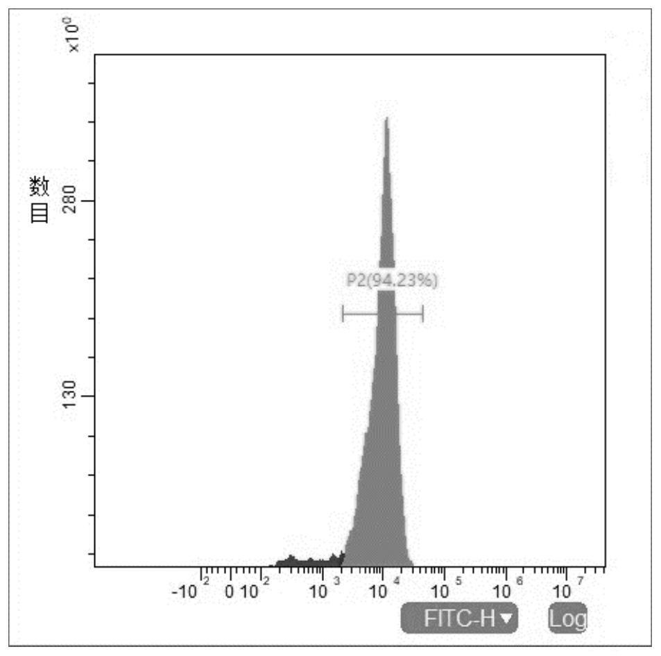 Preparation method and application of NK (Natural Killer) cell for over-expressing CD16a