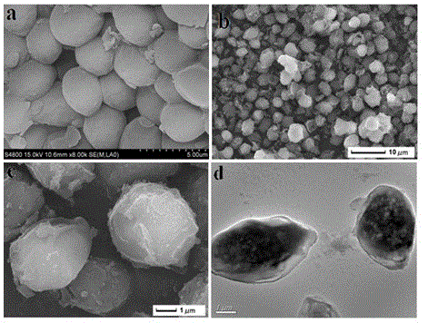 A kind of preparation method of adsorbent for selective separation of ciprofloxacin in water environment