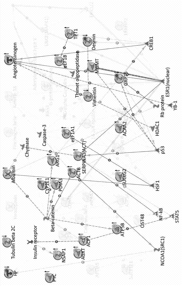 Method for constructing novel visual dynamic protein network reflecting proteome changes