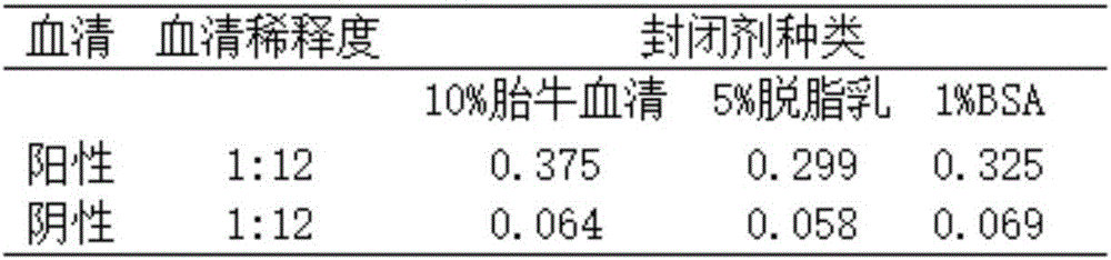 Dog toxoplasma infection double antibody sandwich ELISA detection kit and preparation method