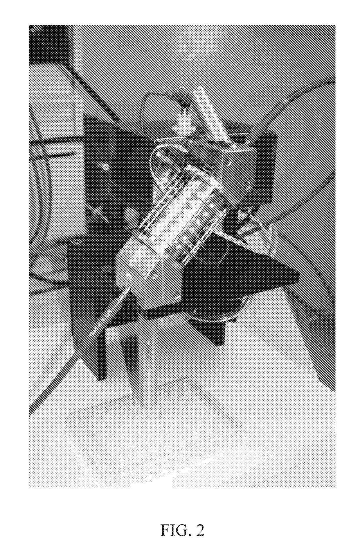 Haploid seed classification using single seed near-infrared spectroscopy