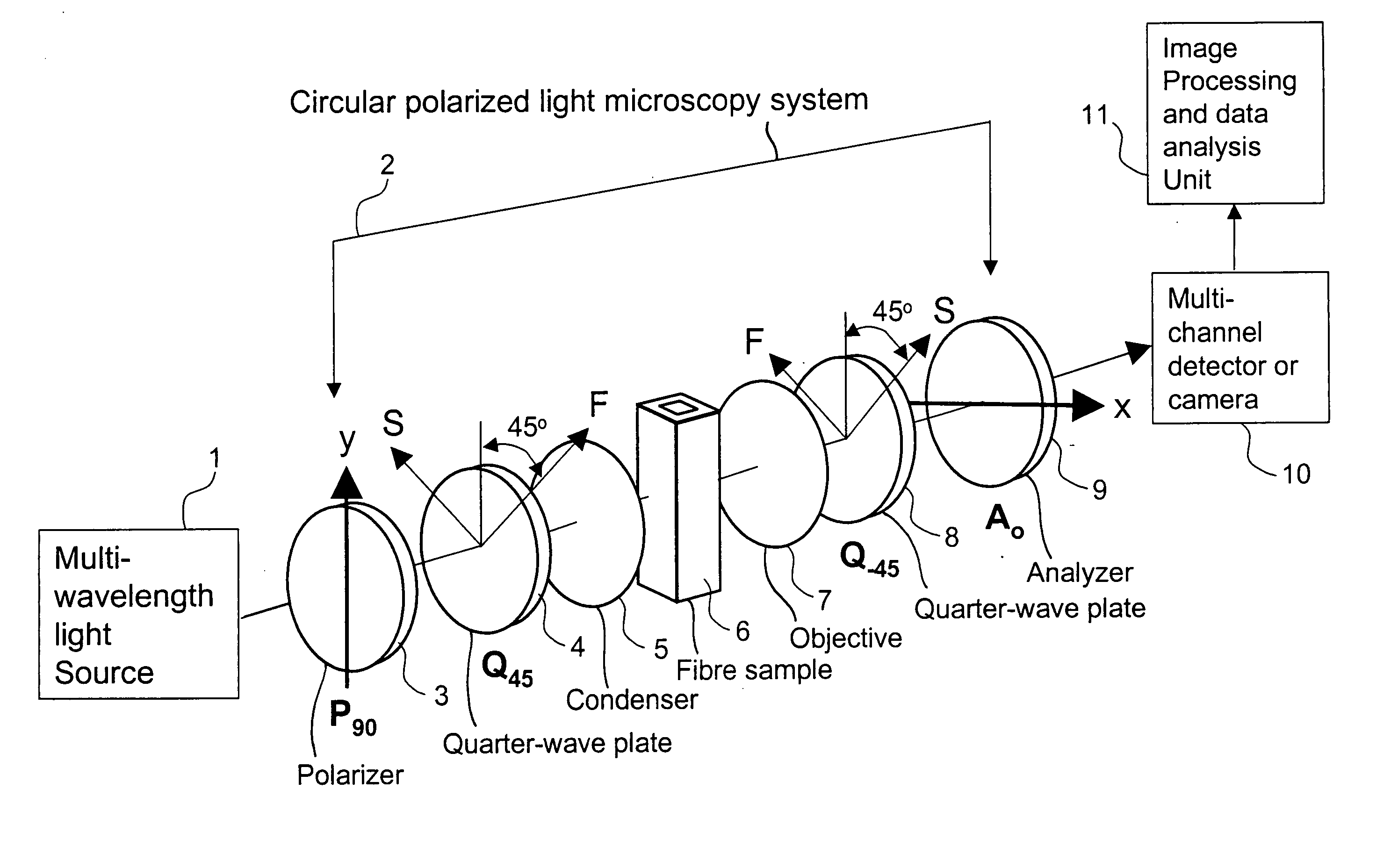 Circular polarized light method and device for determining wall thickness and orientations of fibrils of cellulosic fibres