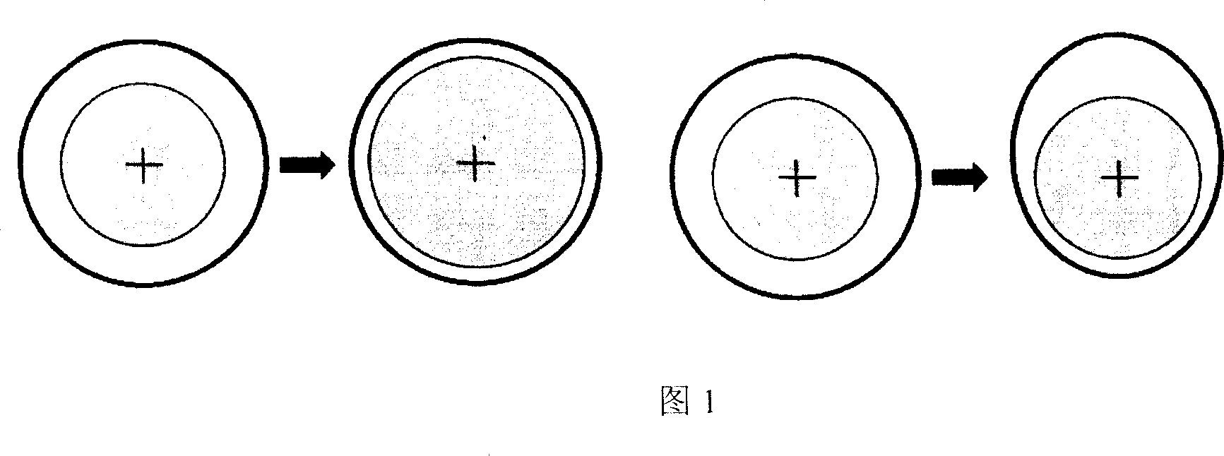 Design scheme of fast active control system for turbine vane tip interval