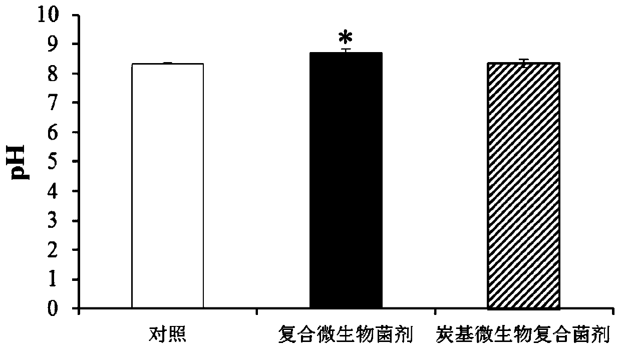 Charcoal-based microbial compound bacterial powder, bacterial agent as well as preparation method and application of charcoal-based microbial compound bacterial agent