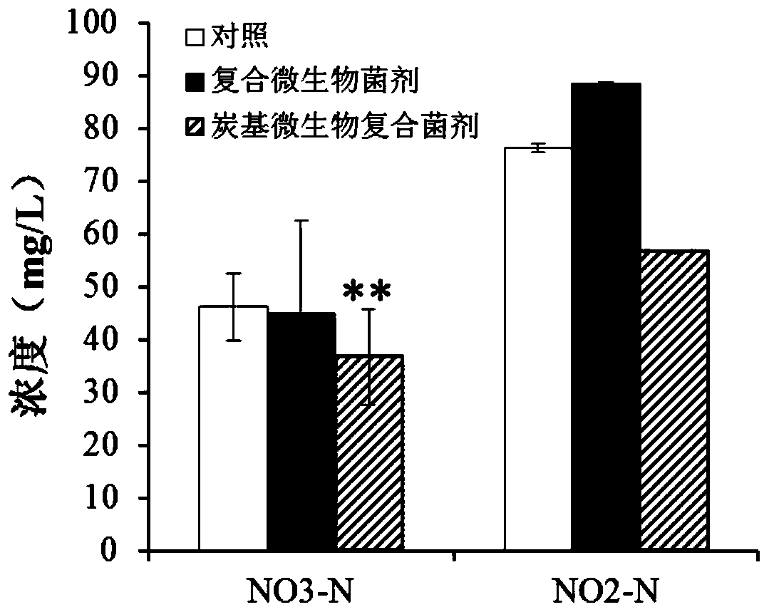 Charcoal-based microbial compound bacterial powder, bacterial agent as well as preparation method and application of charcoal-based microbial compound bacterial agent