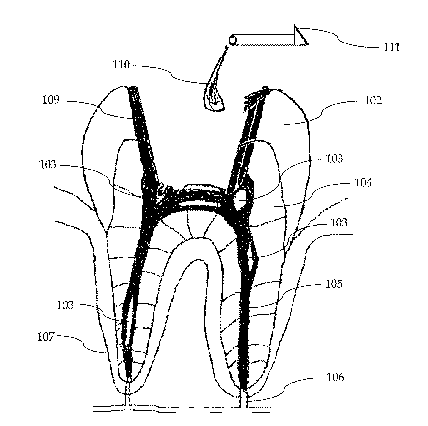 Composition and method of using medicament for endodontic irrigation, stem cell preparations and tissue regeneration