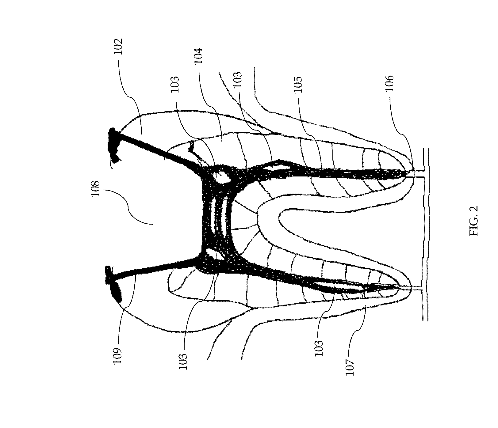 Composition and method of using medicament for endodontic irrigation, stem cell preparations and tissue regeneration