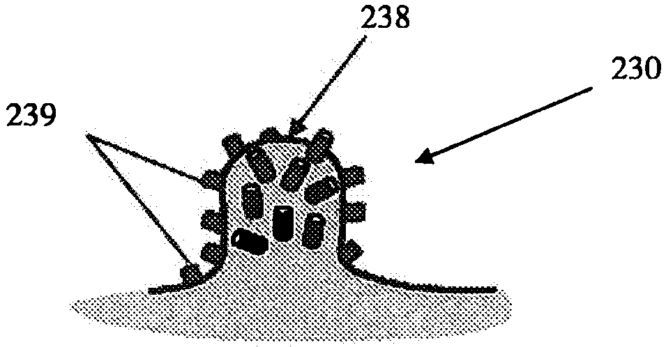 Disposable Article Including A Nanostructure Forming Material