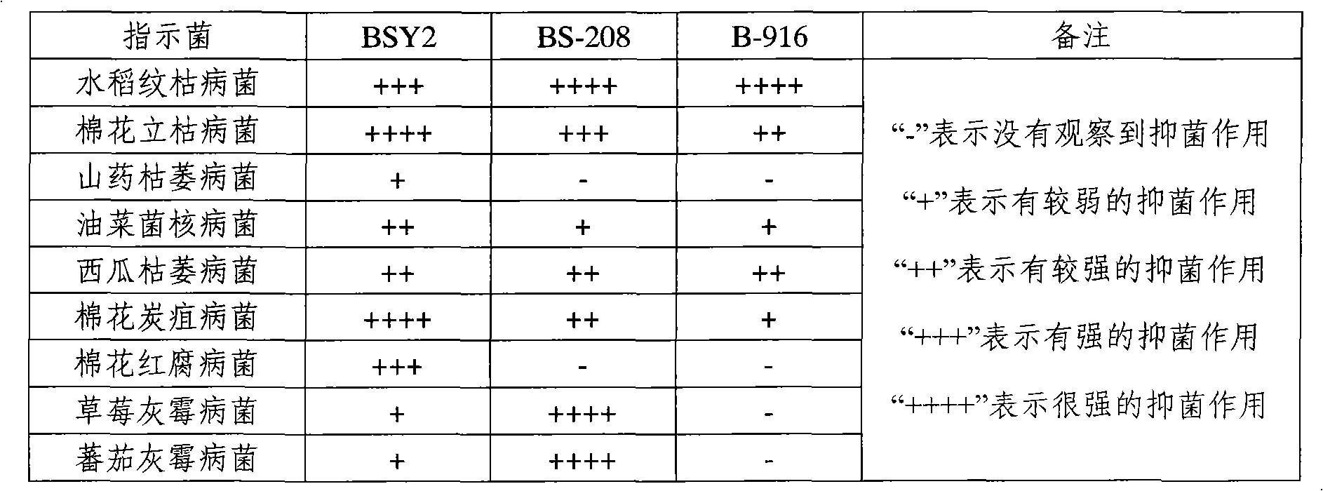 Bacillus subtilis, seed-dressing agent and use thereof