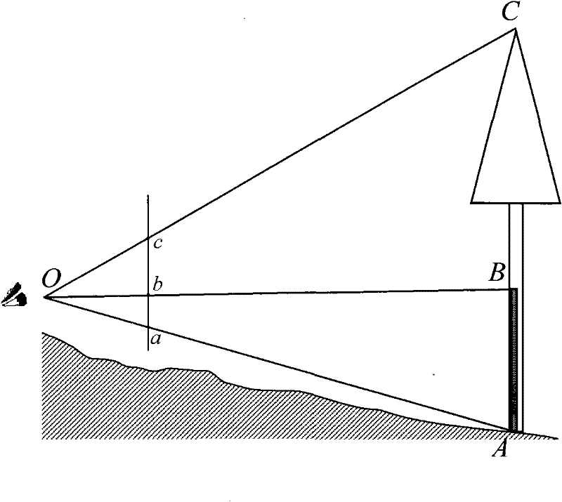 Device for efficiently measuring tree height