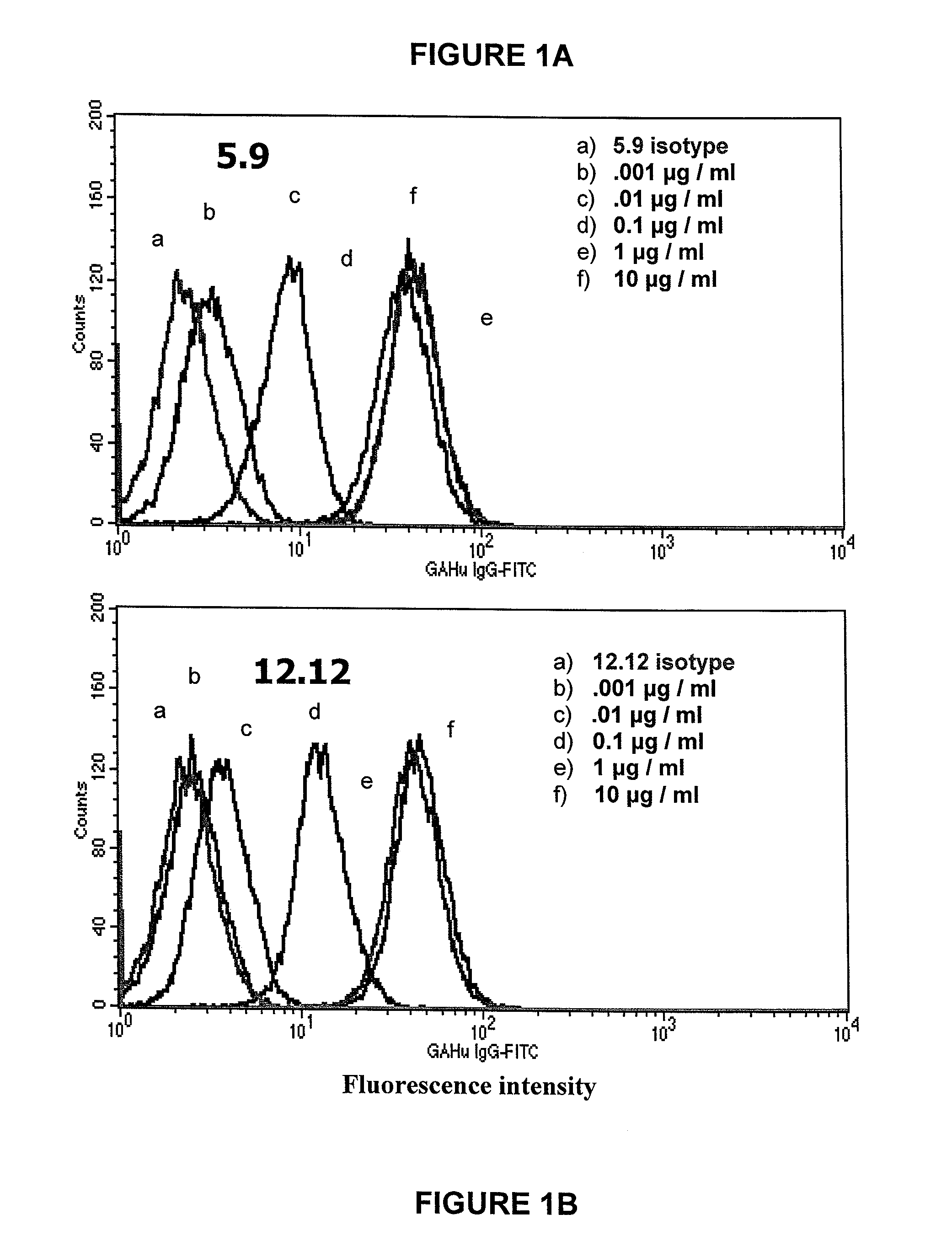 Antagonist anti-CD40 antibodies