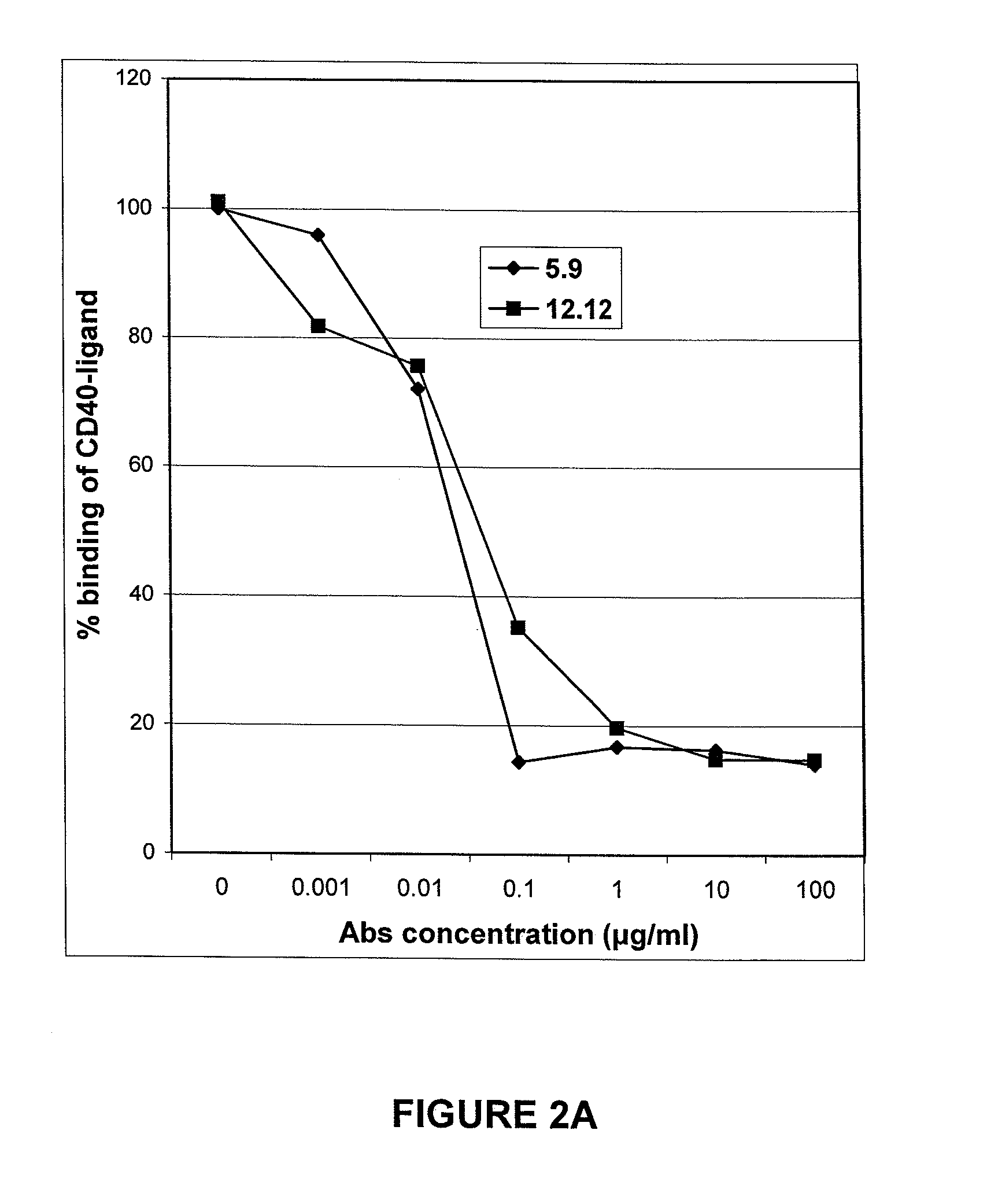 Antagonist anti-CD40 antibodies