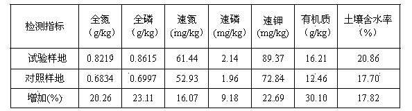 Camellia oleifera forest ecological conservation composite cultivation mode