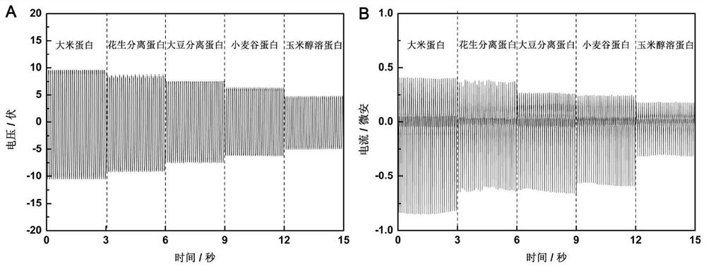 A kind of plant protein friction nanogenerator and its application