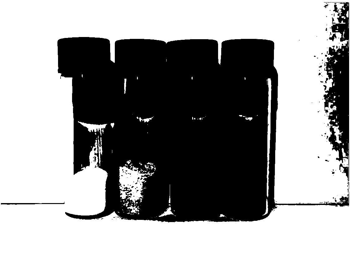 Lithium-sulfur battery positive copolymer sulfur material and prepared lithium-sulfur battery made from material