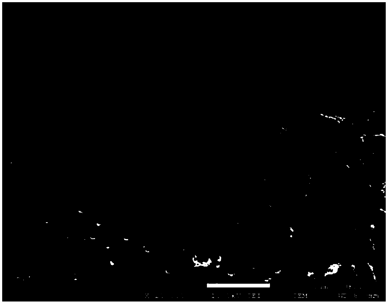 Lithium-sulfur battery positive copolymer sulfur material and prepared lithium-sulfur battery made from material