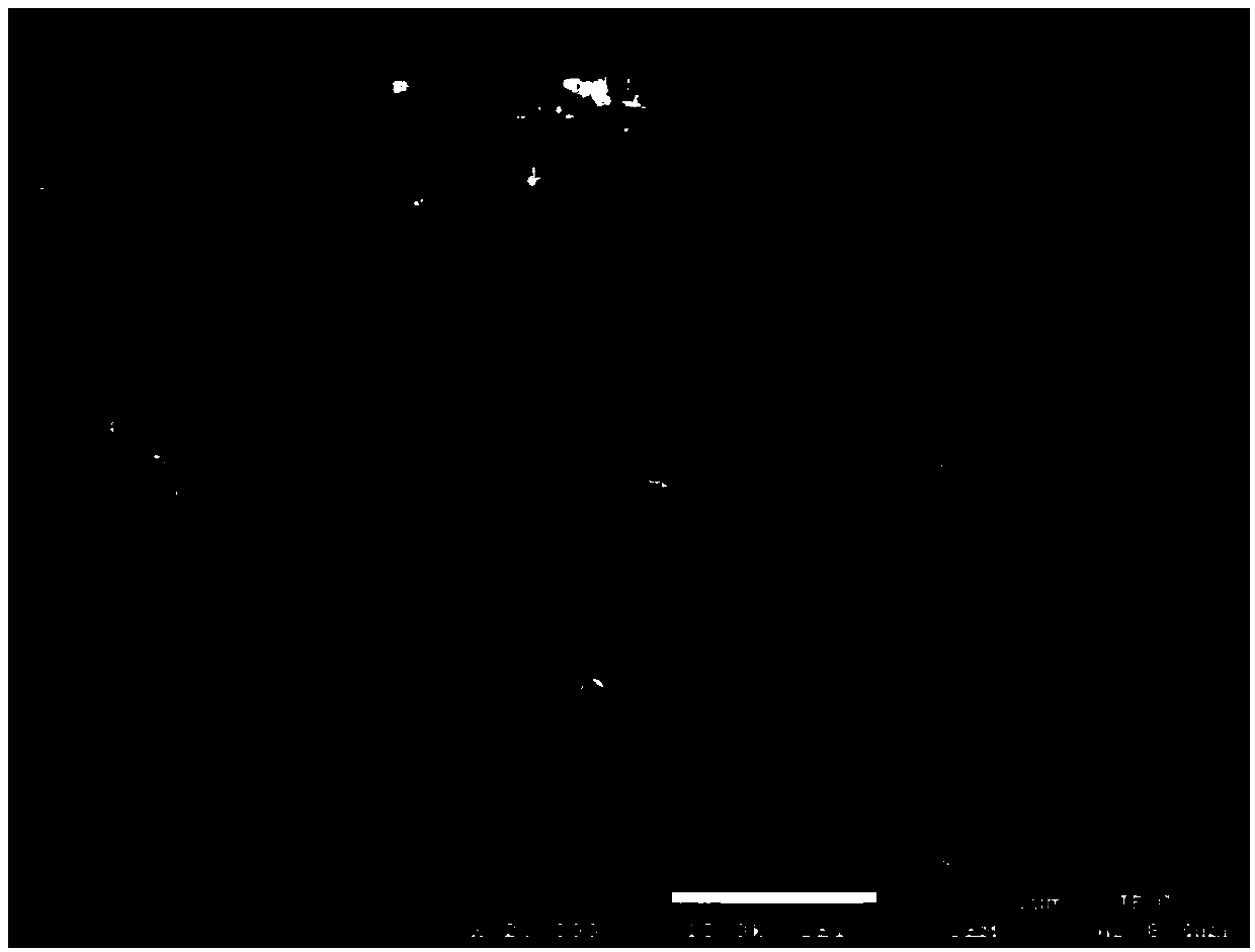 Lithium-sulfur battery positive copolymer sulfur material and prepared lithium-sulfur battery made from material