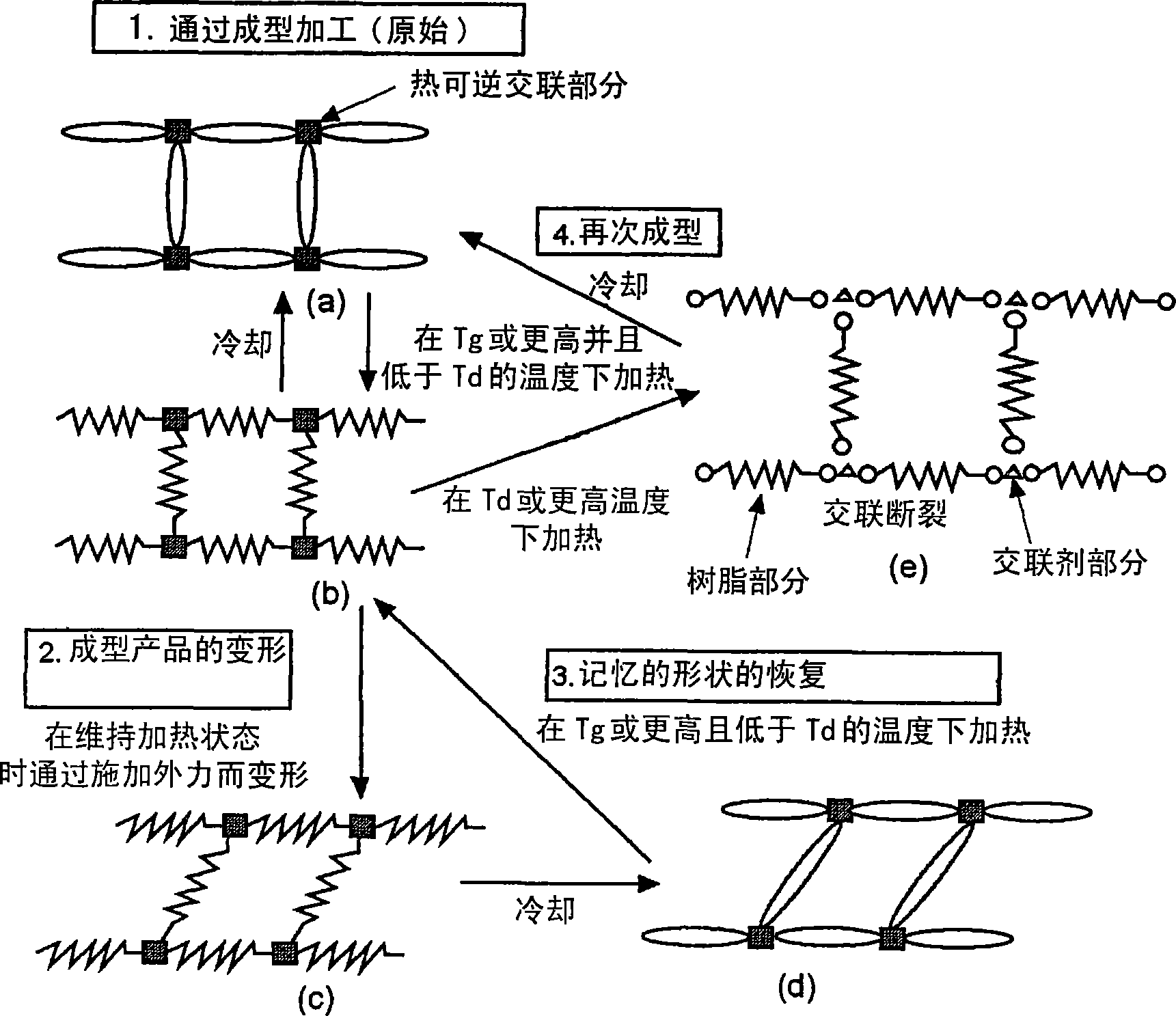 Reshapable shape-memory resin excelling in shape recovery capability and shaped item of the resin having been crosslinked