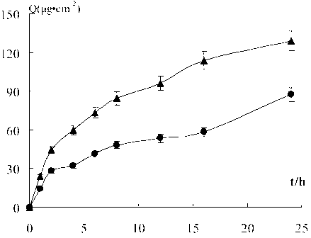 Liposome gel preparation and preparation method and application thereof