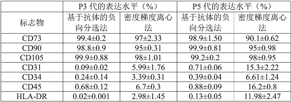 Preparation method of purified and amplified human mesenchymal stem cells