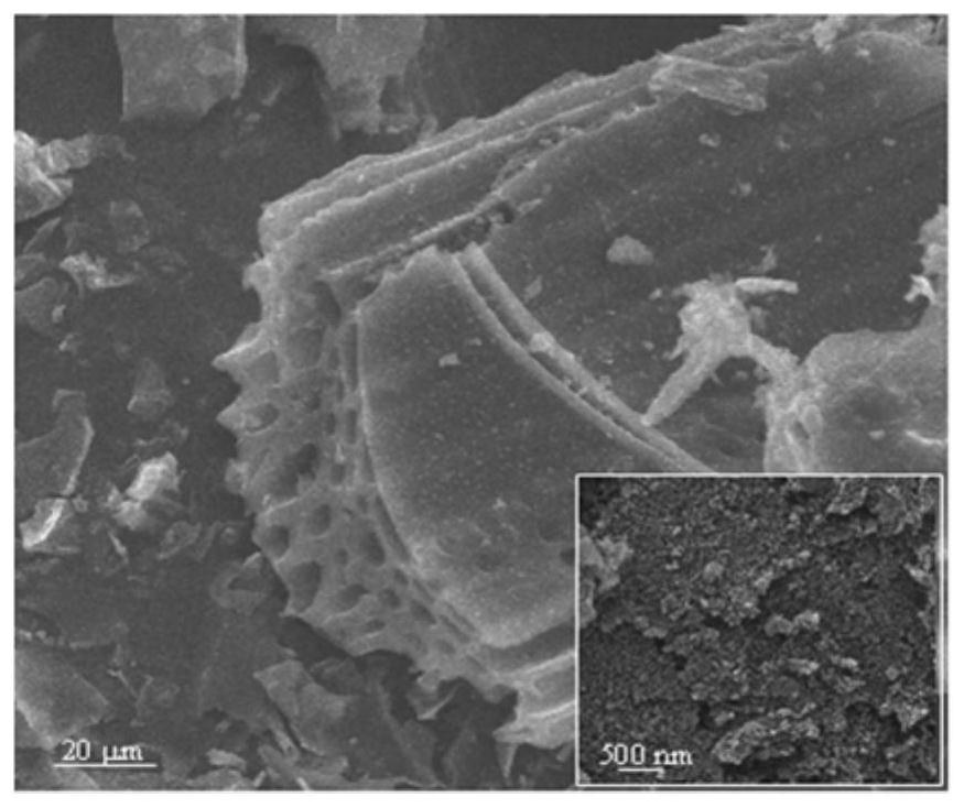 Porous biochar/zinc ferrite composite material as well as preparation method and application thereof