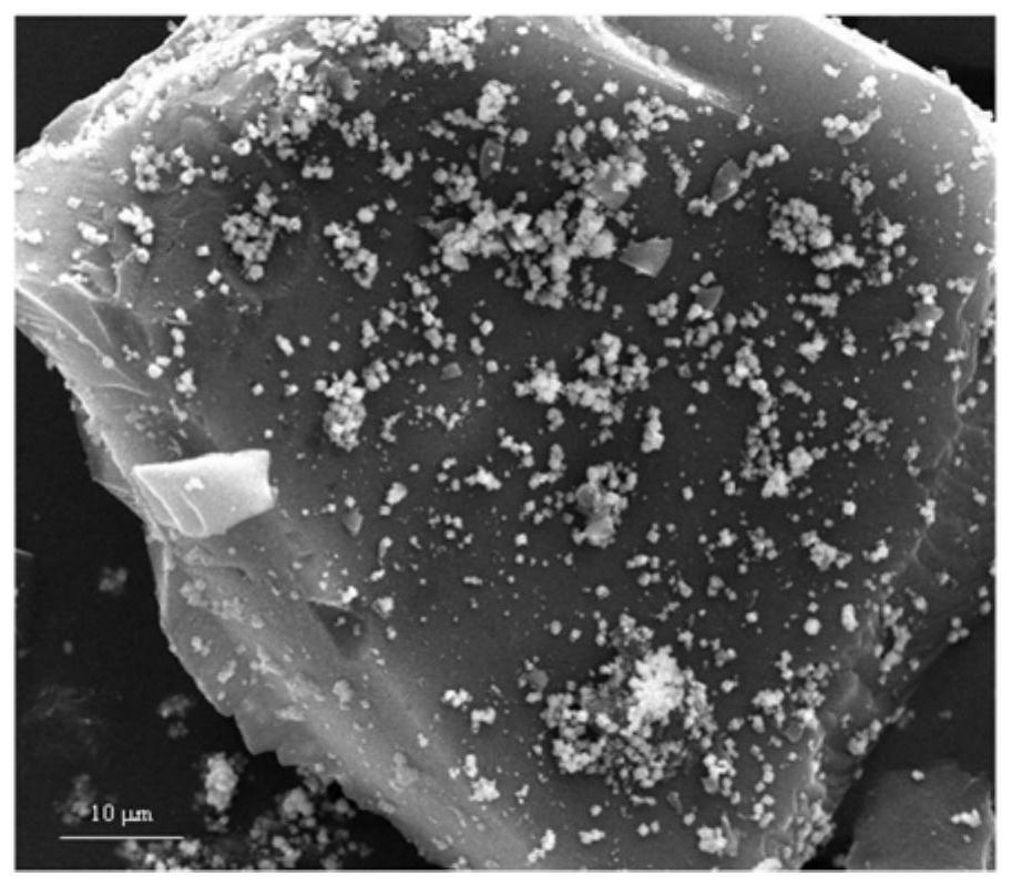 Porous biochar/zinc ferrite composite material as well as preparation method and application thereof