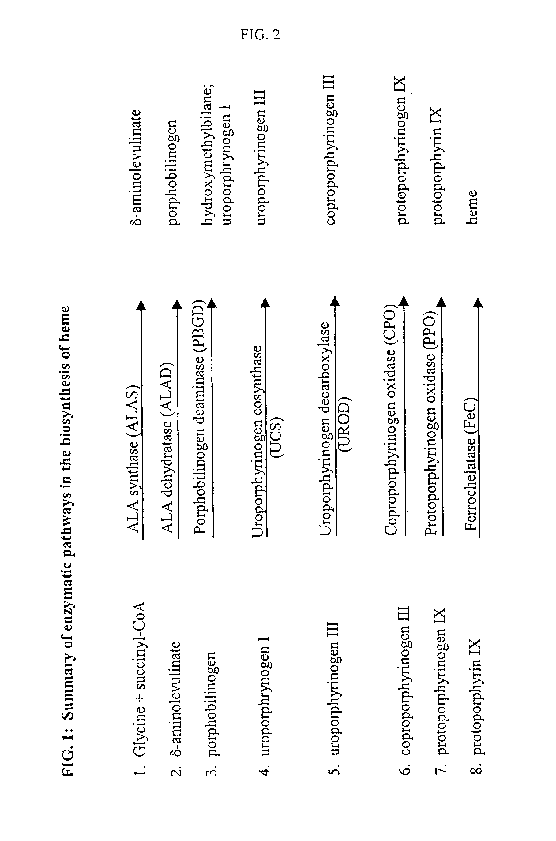 Suicidal mutant Leishmania vaccine