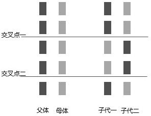 Genetic algorithm workshop production scheduling method based on virtual process