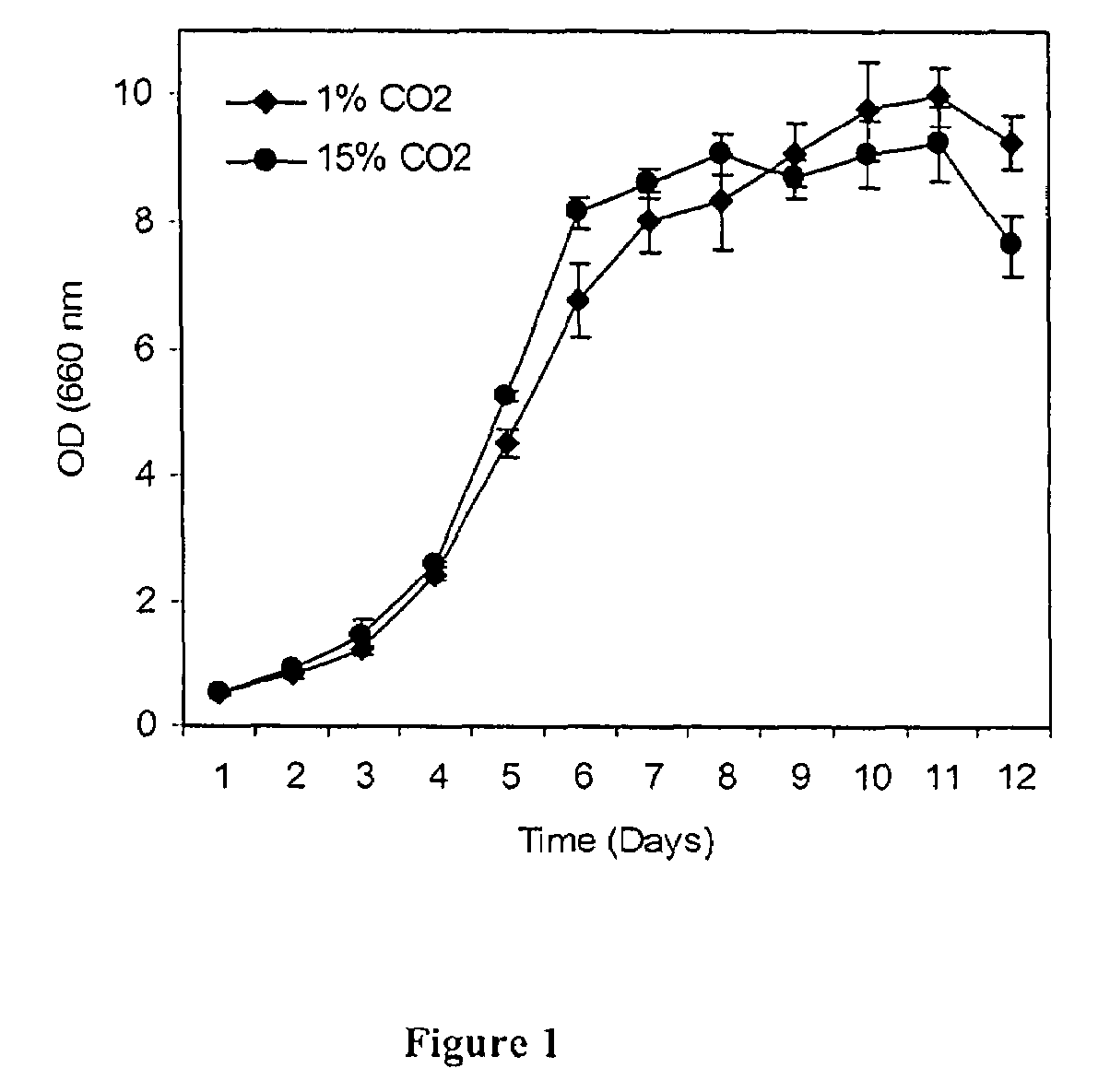 Novel chlorella species and uses therefor