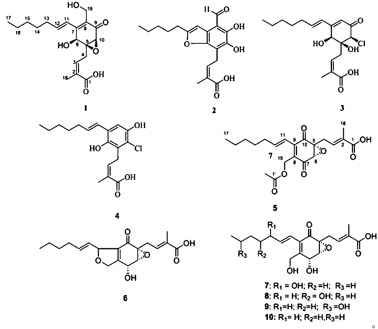 Pestalotic acid compound with antibacterial activity and application thereof