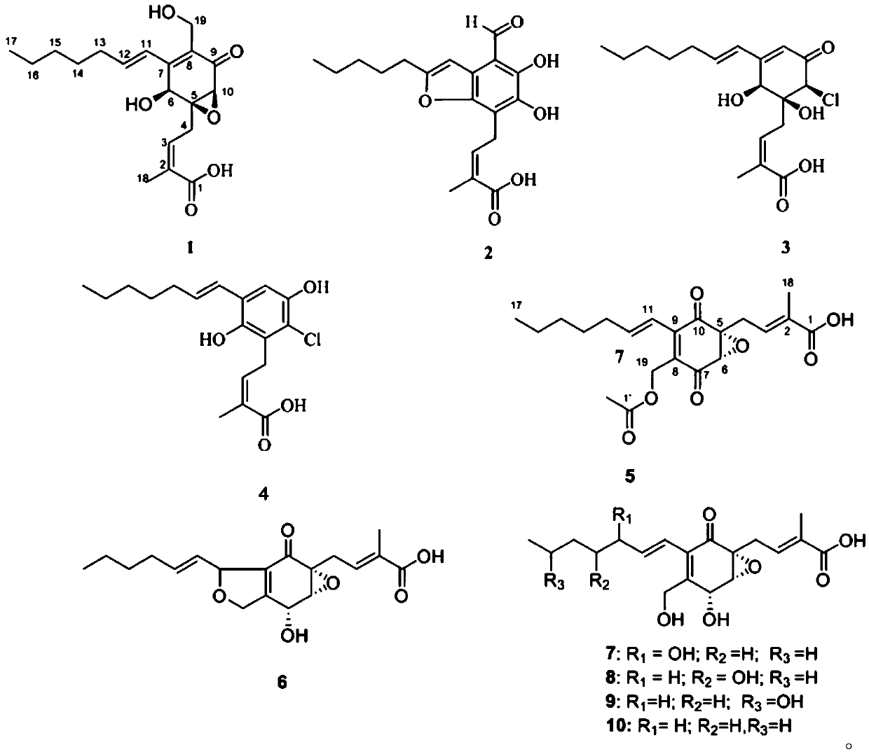 Pestalotic acid compound with antibacterial activity and application thereof