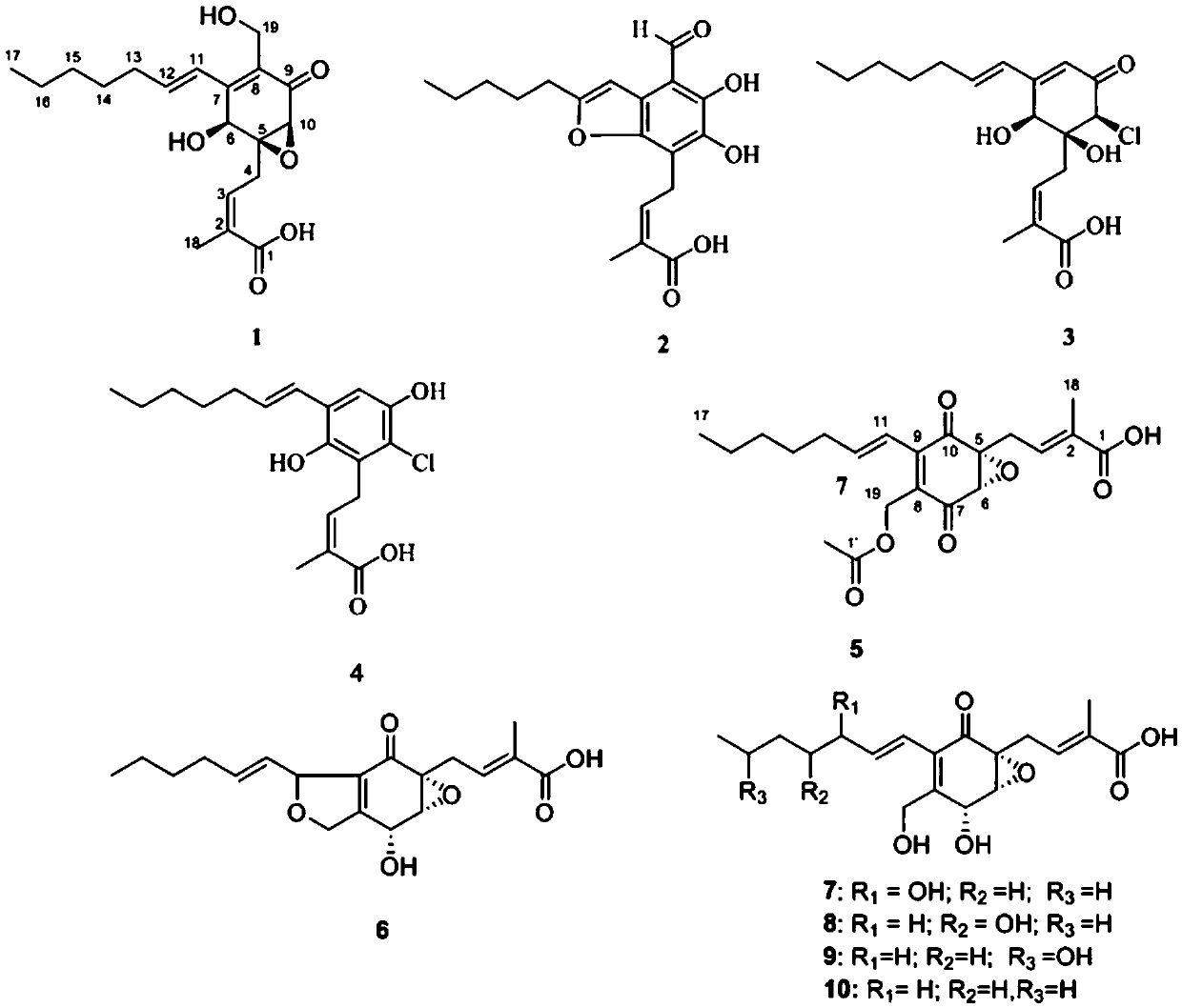 Pestalotic acid compound with antibacterial activity and application thereof