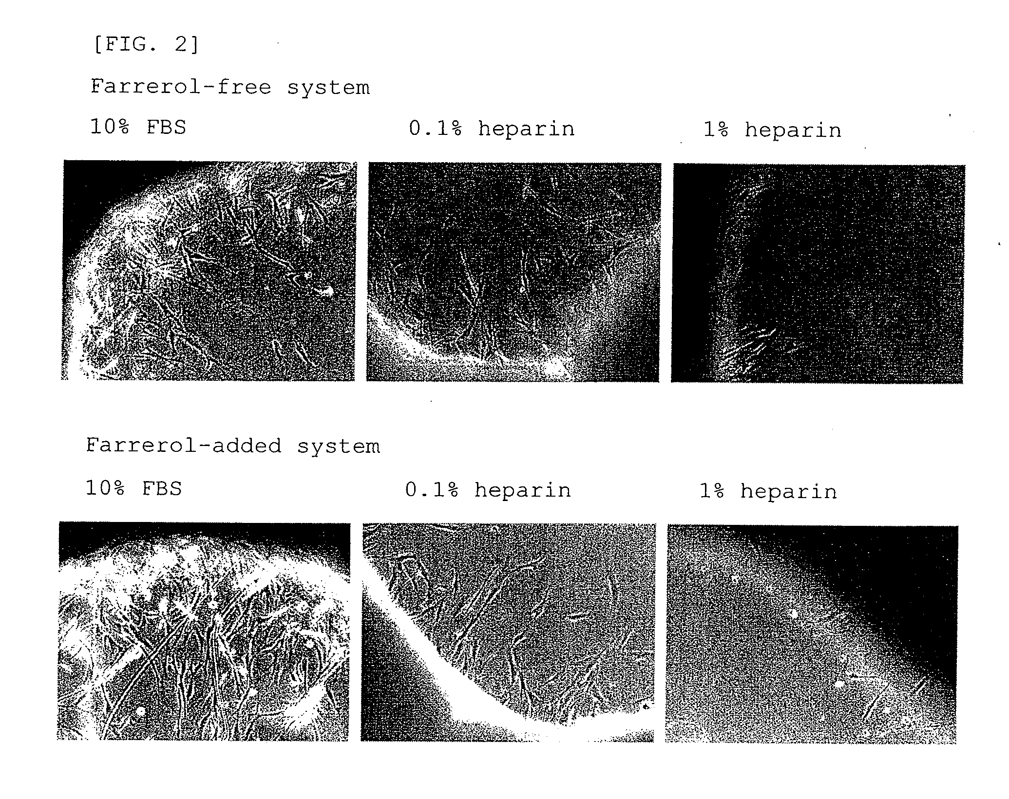 External preparation for skin containing flavanone derivative