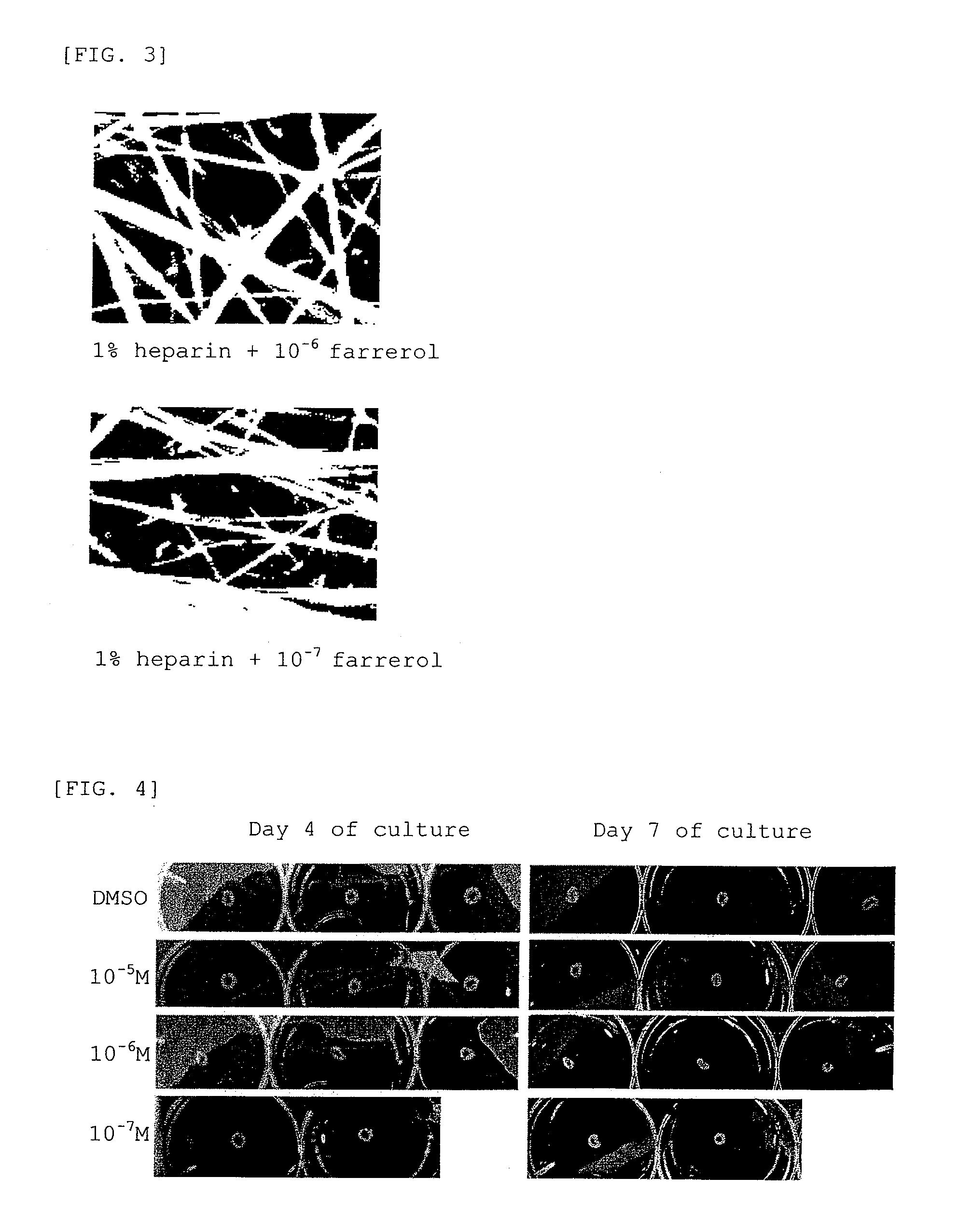 External preparation for skin containing flavanone derivative