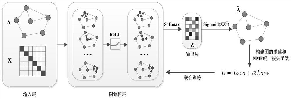 Community discovery method based on nonlinear non-negative matrix factorization