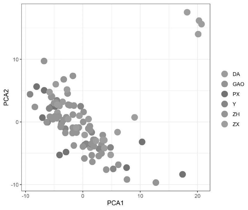 Method for constructing perilla frutescens core germplasm resource library based on SRAP molecular marker