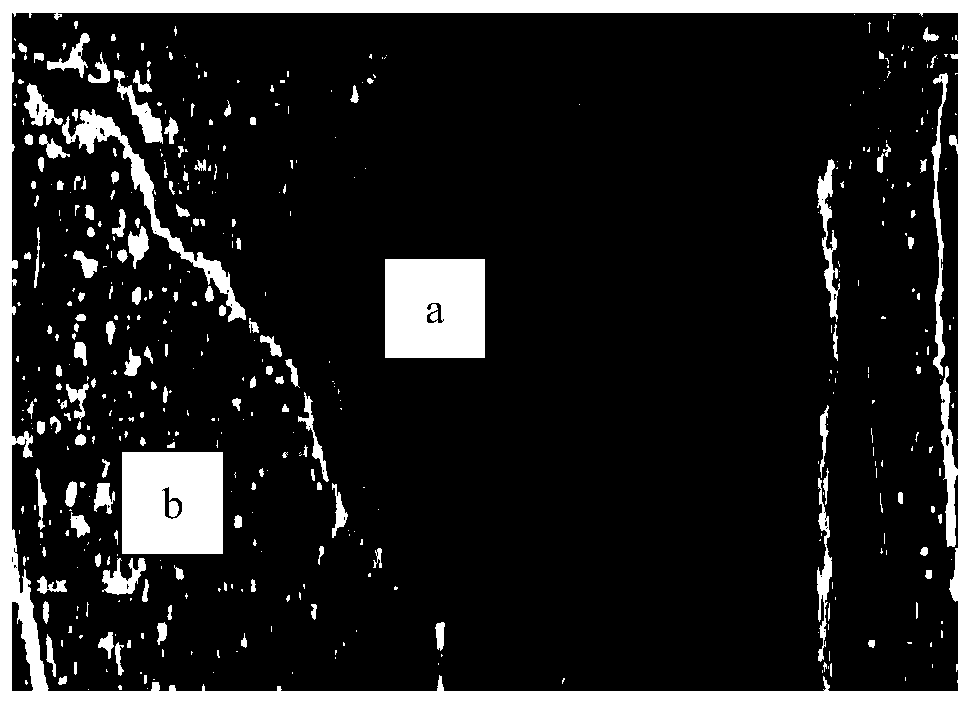 Three-dimensional roughness description method for rock mass structural surface based on borehole camera technology