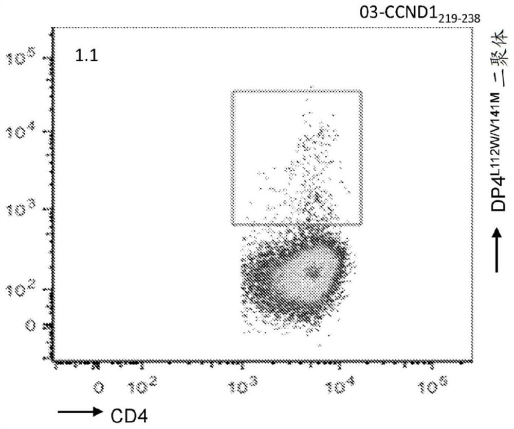 T cell receptors and methods of use thereof