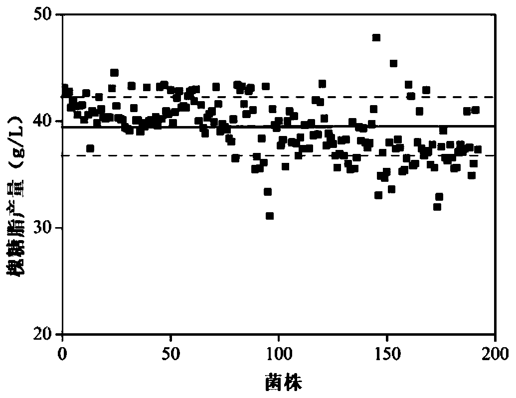 Method for high-throughput screening of high-yield sophorolipid strains