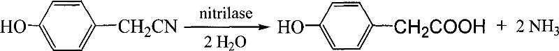 Bacillus subtilis ZJB-063 and its application