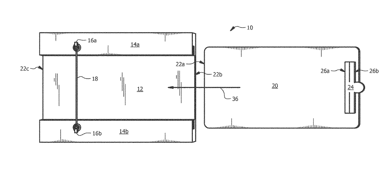 Rodent immobilization apparatus and method of use thereof