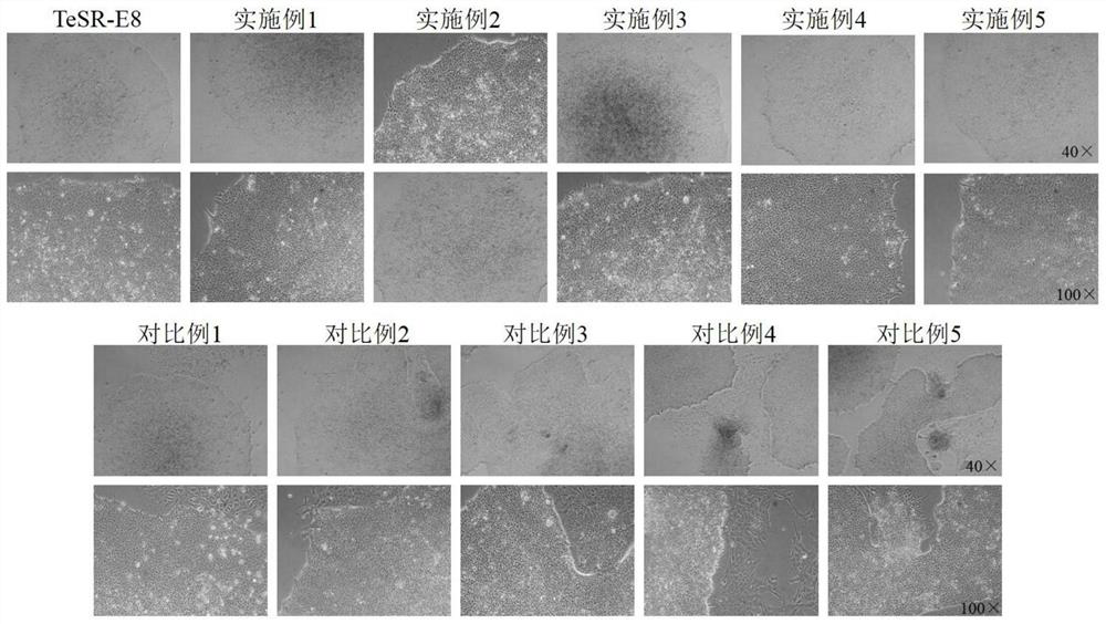 Culture medium supplementing composition, stem cell culture medium and preparation method of stem cell culture medium