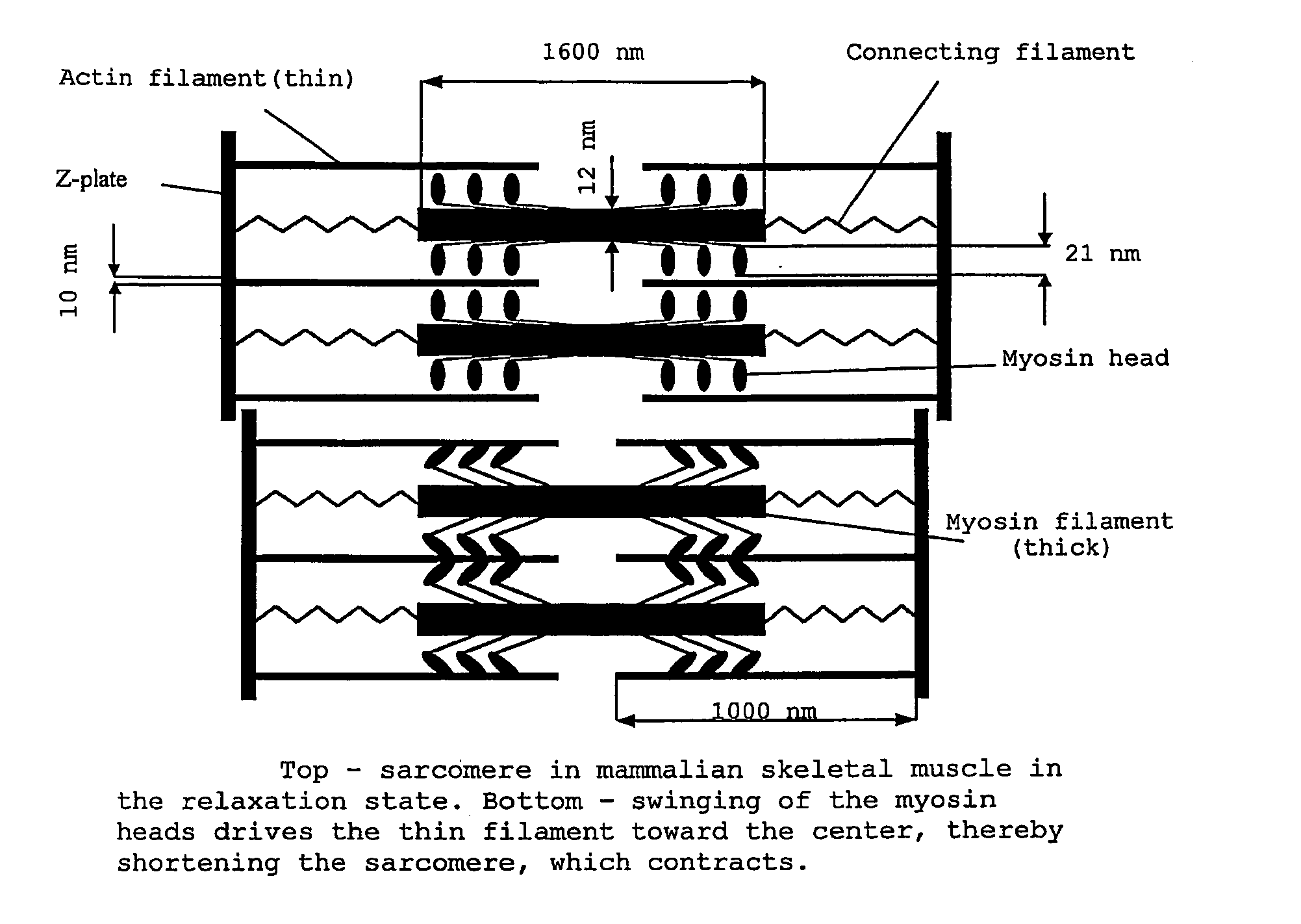 Electromechanical Transducer