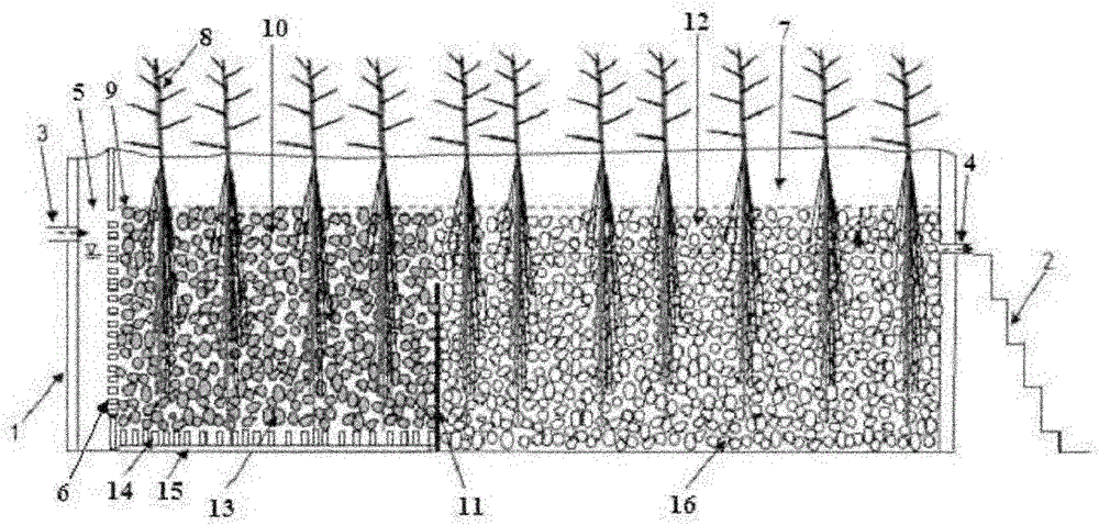 Active-matrix-reinforced underflow constructed wetland device